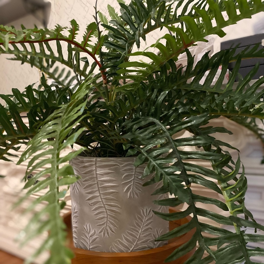 Greenery